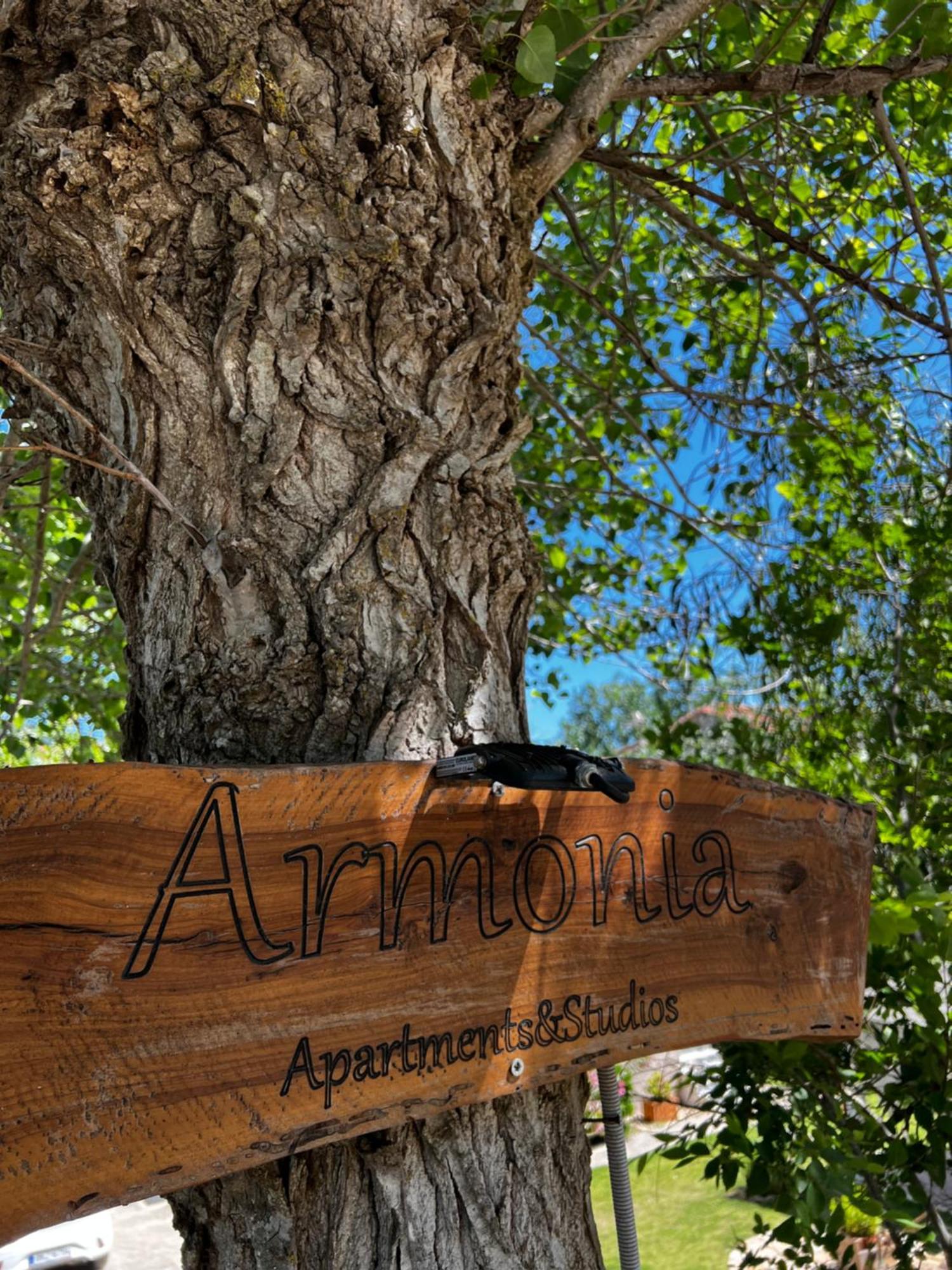 Armonia Apartments & Studios Perivolion Екстер'єр фото
